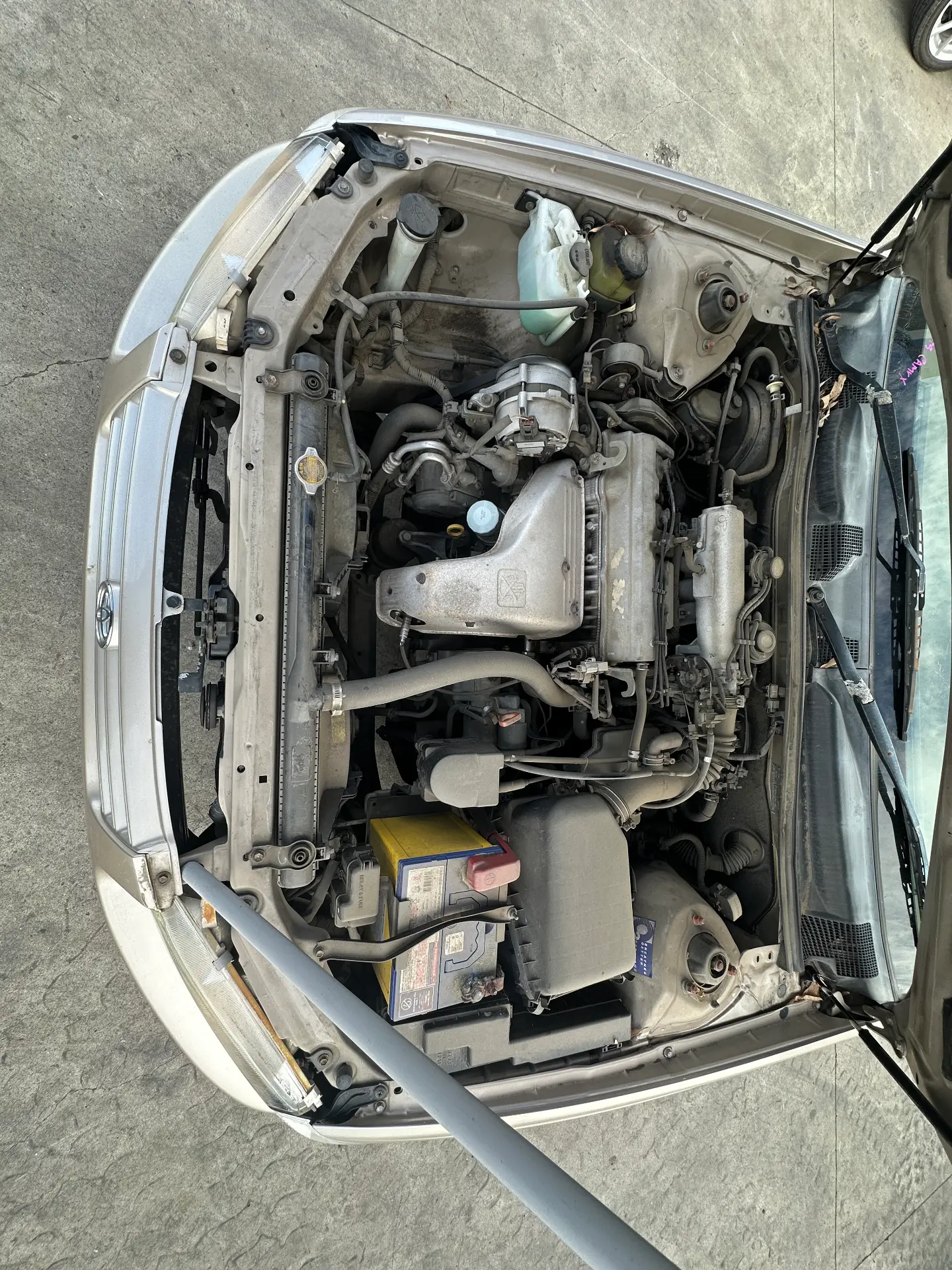 Toyota Camry 2025 Brown Auto Petrol
